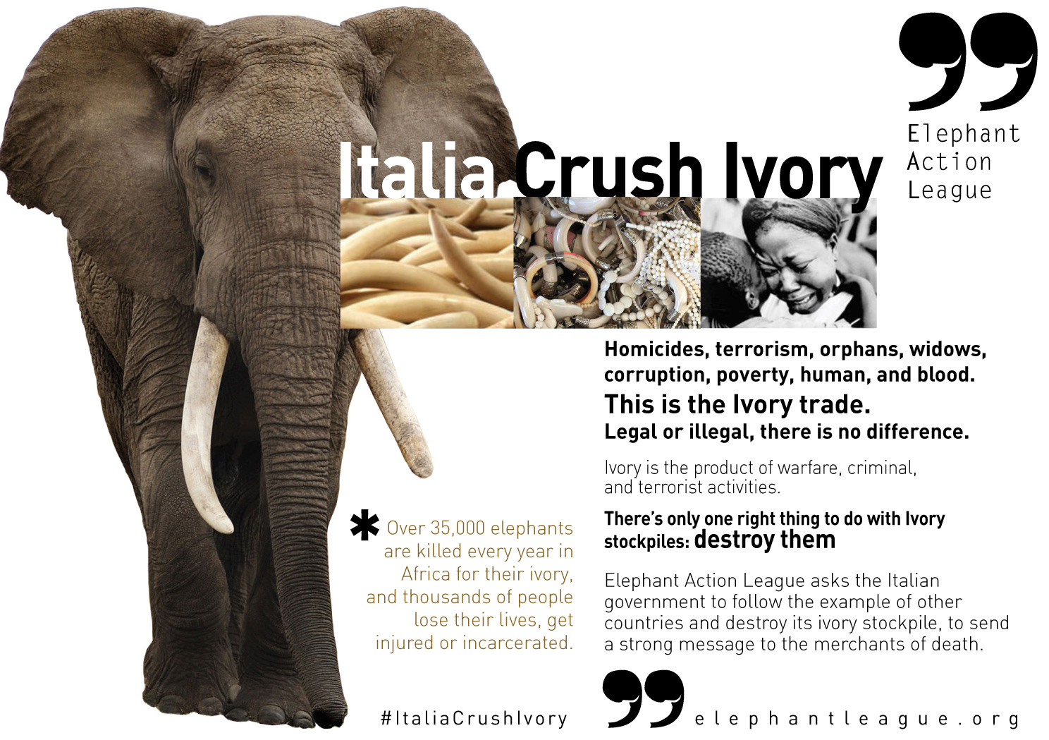 Elephant Action League - ITALIA CRUSH IVORY Campaign - English Poster