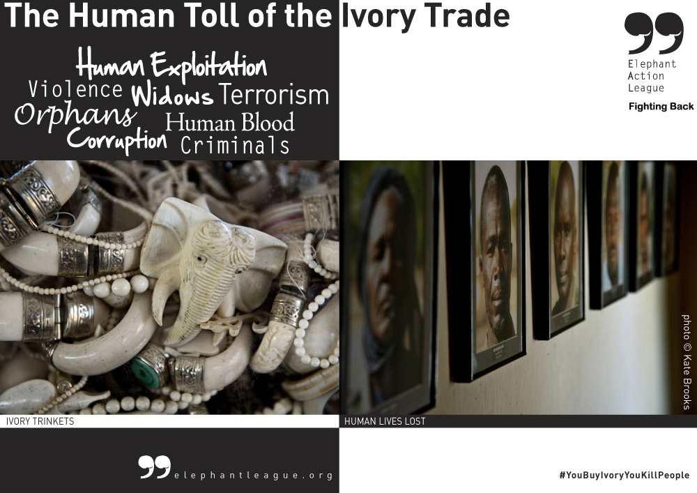 Human Toll Ivory Trade - Campaign ENG2