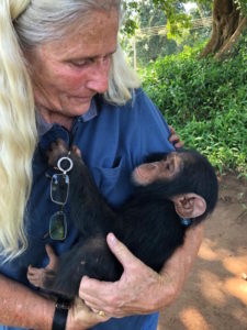chimp John in my arms after undoing his cloth copy